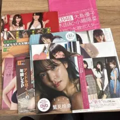 週刊誌付録DVD10枚とポスター2枚