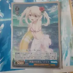 極美品】PSA10 真夏の日差し イリヤ SP サイン