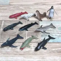 フィギュア 海洋動物 クジラ シャチ セイウチ ペンギン等 10個セット