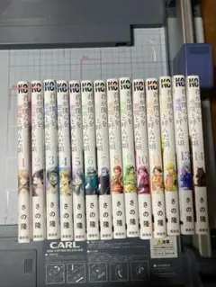 君が僕らを悪魔と読んだ頃 全巻セット コミック】君が僕らを悪魔と呼んだ頃（全14巻） | さの隆 |本