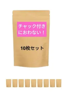 サニタリーバッグ 13cm×22cm 使い捨て 携帯用 エチケット袋 10枚