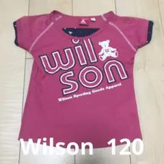 Wilson ウィルソン　ピンク　ベア　Tシャツ　速乾　キッズ　120