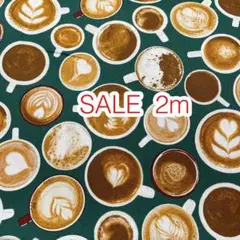 SALE 2m カフェラテ グリーン オックス