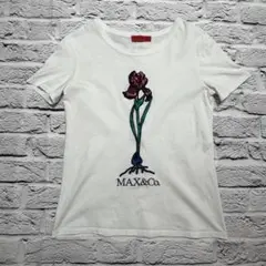 MAX&Co マックス アンド コー　Tシャツ　ｗ0125-0612-②-⑨