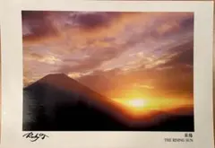 2025年最新】ロッキー田中の人気アイテム - メルカリ