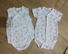 Item thumbnail for item 172c3144-d7d8-4f9d-bf3e-87dcb4b9e77f