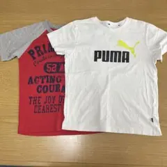 tシャツ 140 2枚セット