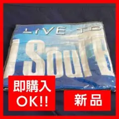 【新品未使用!】三代目J Soul Brothers ビーチタオル