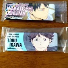 ハイキューロング缶バッジ 2個セット