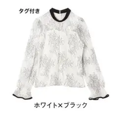 Item thumbnail for item 5780f1bb-29c2-4c4a-8134-5a56f1350590