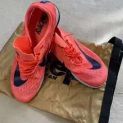 ナイキストリークLT4