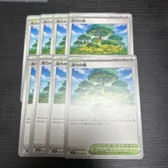 活力の森　8枚