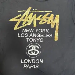 STUSSYのTシャツ