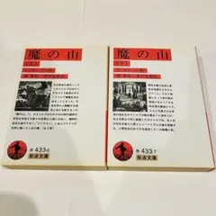 魔の山 上下巻 セット（岩波文庫）