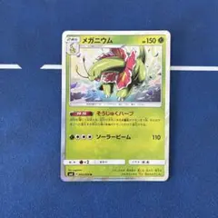 SM メガニウム そうじゅくハーブ