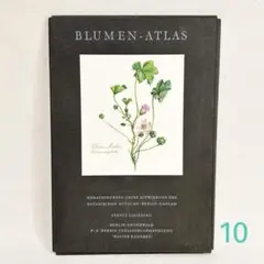 ④1-12番 Elsa Felsko 植物図鑑 15枚 Blumen Atlas ④1-12番 Elsa Felsko 植物図鑑 15枚 Blumen Atlas - メルカリ