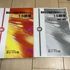 難関公立高校文理学科コース 1S数学 中1