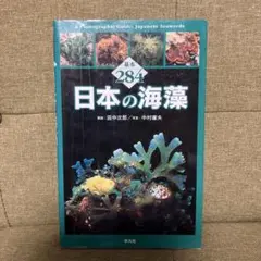 日本の海藻 基本284