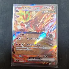 ウガツホムラEX ポケモンカード