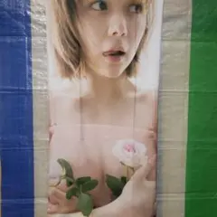 村重杏奈さん 抱き枕 ２way トリコット