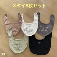 スタイ5枚セット