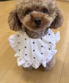 ペット服 ペット用スタイ ペットアクセサリー バレンタイン