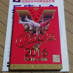 2016 熱き闘いの記録 カープ