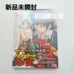 定価7000円 新品未開封 ハイスクールD×D Vol.2 初回限定特典付き