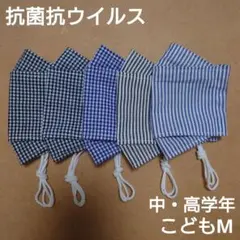 Item thumbnail for item 84fe7939-4d42-4765-913b-4389a24620c9