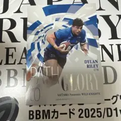 ディランライリー