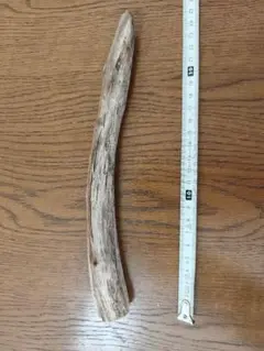 Item thumbnail for item c5ae25af-e2c7-4ed5-9ec0-98fa2c9ab5fe