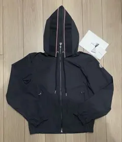 Item thumbnail for item 33e5e048-c869-446a-80af-0e5f8227ec1c