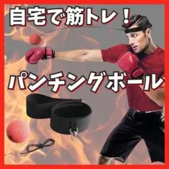 ボクシング パンチングボール タップボール 筋トレ ダイエット トレーニング
