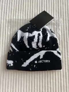 Item thumbnail for item f2751974-5214-4cb5-88df-916e4bd0665f