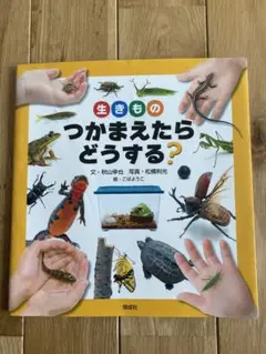 生きもの つかまえたらどうする？子ども 夏休み