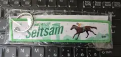 函館競馬場　フライトタグ　JRA Seltsam