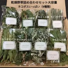 Item thumbnail for item a82fe675-b9e3-47b5-8e70-ebad269760ee