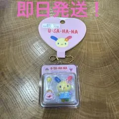 ウサハナ　ミニチュアパッケージチャーム