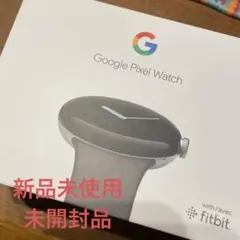 Google Pixel Watch Polished Silver