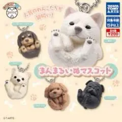 2025年最新】まんまるいぬ パグの人気アイテム - メルカリ