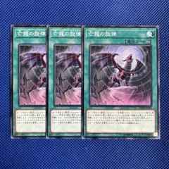 遊戯王 亡龍の旋律 3枚 ノーマル