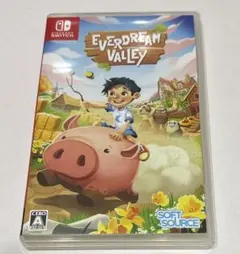 Switch Everdream Valley
