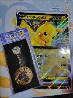 ポケモンスタンプラリー2025 ポケモンカード＆メダルキーホルダー