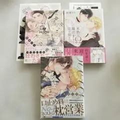 園瀬もち　シークレットアフター　他　3冊セット