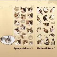 Item thumbnail for item caefdb74-a98d-4dbc-ab08-97e35141634e