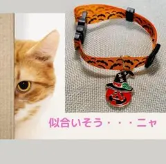 Item thumbnail for item 63899d01-ba12-4b02-b808-7e392b5b9f97