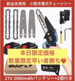 新品未使用 充電式小型チェーンソー 21V 2000mAhバッテリー×2個付き