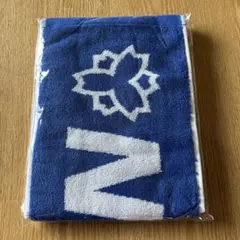 Item thumbnail for item 05a59903-c636-423a-a546-3af67afe24b7