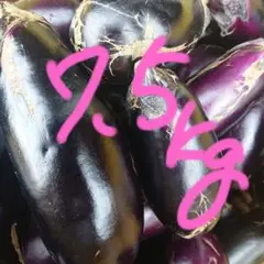 傷たくさんあります!大地の実り 茄子 訳あり