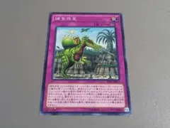 捕食惑星 ★ ノーマル ★ 遊戯王